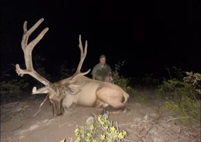 A person is kneeling on the ground next to a large elk with impressive antlers. The scene is set outdoors at night with some sparse vegetation in the foreground. The person is partially obscured by the elk.