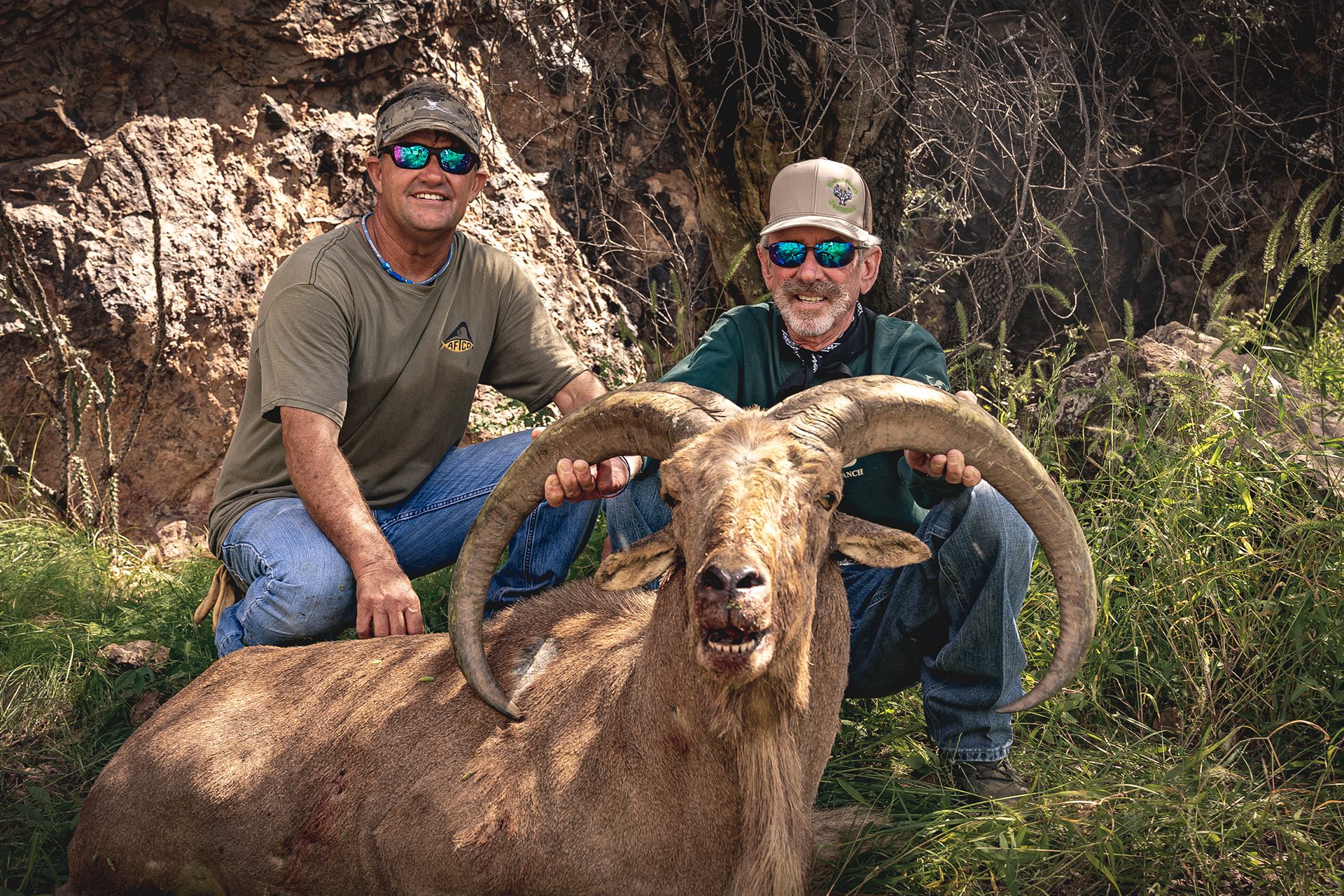 In a wooded area, a man displays a large Aoudad, showcasing his catch amidst the serene forest backdrop.